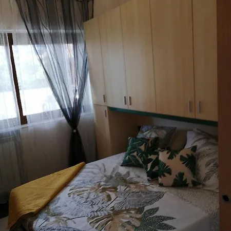 Serendipity Mare * Marina dʼAndora