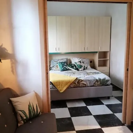 Serendipity Mare * Marina dʼAndora